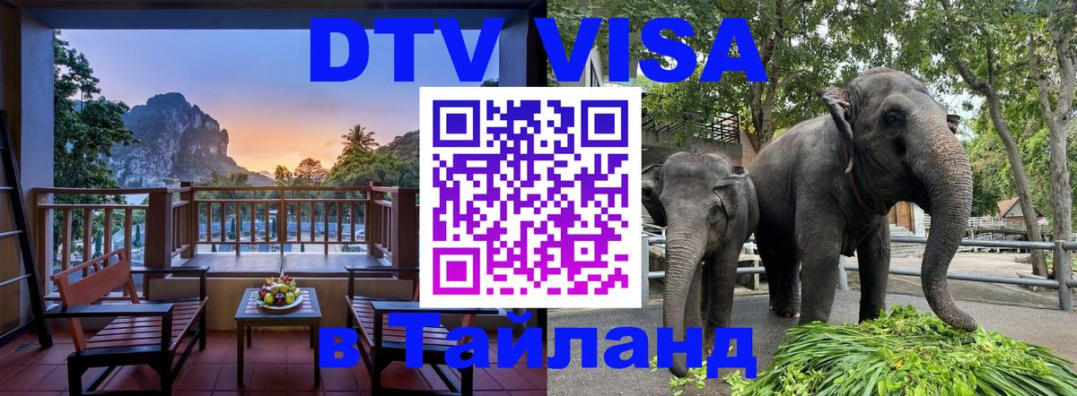 Сколько стоит виза DTV в Тайланд Астрахань 